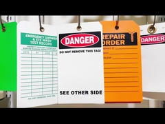 ট্যাগ20241114