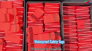 ট্যাগ-20260126